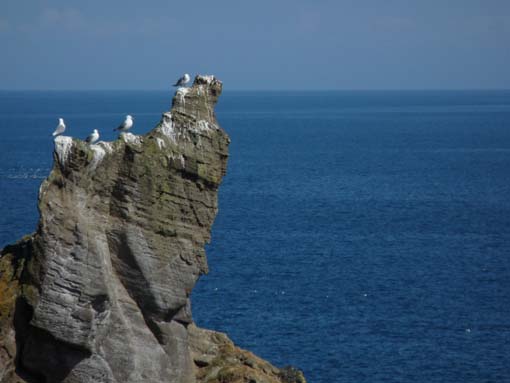 Island-Snaefellsnes-423