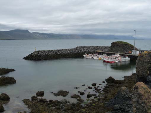 Island-Snaefellsnes-431