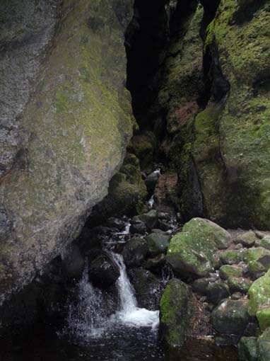 Island-Snaefellsnes-477