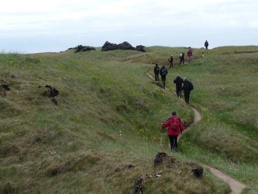 Island-Snaefellsnes-489