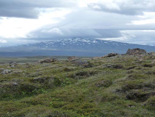 Island-Snaefellsnes-524