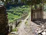 08_Vernazza_San_Bernardino_Cigoletta_Volastra_Manarola_031_170405
