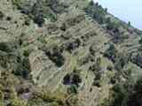 08_Vernazza_San_Bernardino_Cigoletta_Volastra_Manarola_066_170405