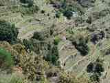 08_Vernazza_San_Bernardino_Cigoletta_Volastra_Manarola_067_170405