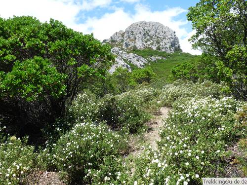 Sardinien Wandern