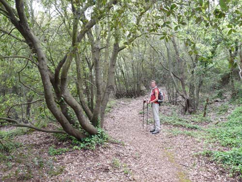 130525_Noli_Manie_Varigotti_Spotorno_Genua_007