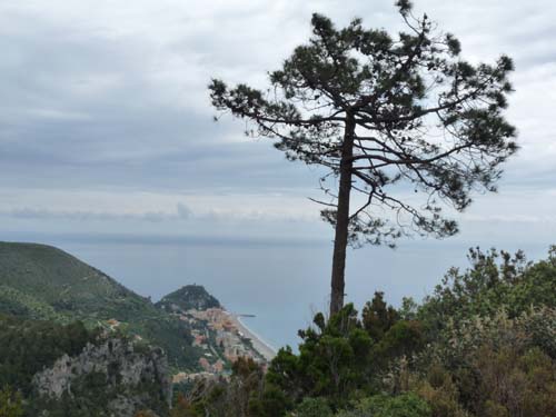 130525_Noli_Manie_Varigotti_Spotorno_Genua_010