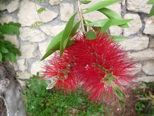 130525_Noli_Manie_Varigotti_Spotorno_Genua_028