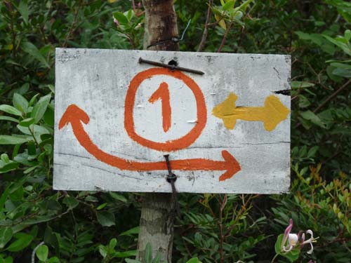 130525_Noli_Manie_Varigotti_Spotorno_Genua_098