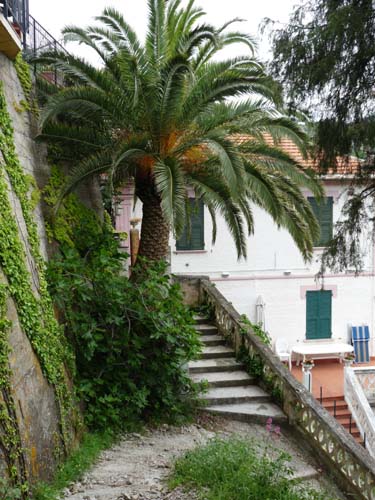 130525_Noli_Manie_Varigotti_Spotorno_Genua_103