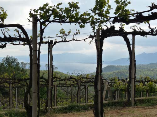 130525_Noli_Manie_Varigotti_Spotorno_Genua_143