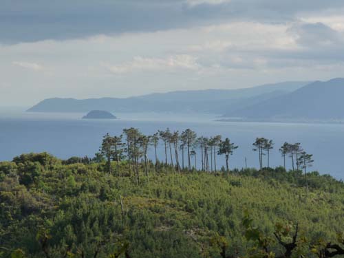 130525_Noli_Manie_Varigotti_Spotorno_Genua_145