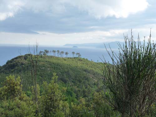 130525_Noli_Manie_Varigotti_Spotorno_Genua_146