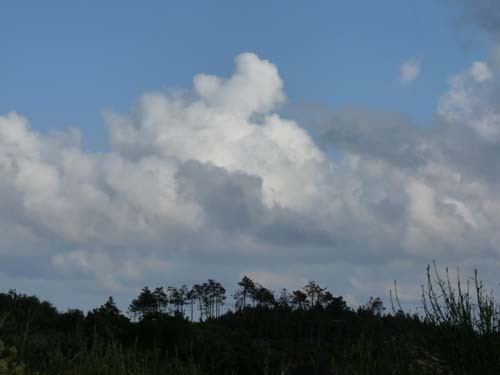 130525_Noli_Manie_Varigotti_Spotorno_Genua_147