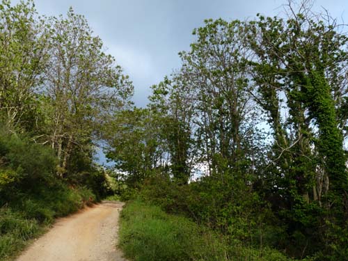 130525_Noli_Manie_Varigotti_Spotorno_Genua_149