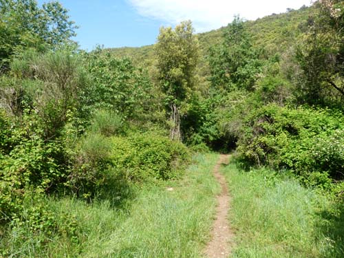 130525_Noli_Manie_Varigotti_Spotorno_Genua_310