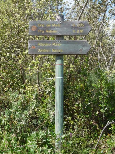 130525_Noli_Manie_Varigotti_Spotorno_Genua_319