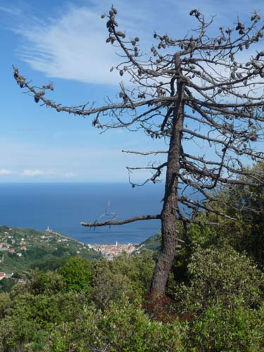 130525_Noli_Manie_Varigotti_Spotorno_Genua_328