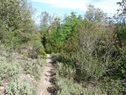 130525_Noli_Manie_Varigotti_Spotorno_Genua_330