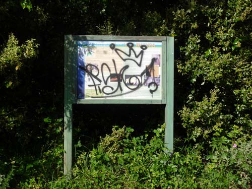 130525_Noli_Manie_Varigotti_Spotorno_Genua_333