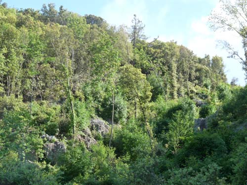 130525_Noli_Manie_Varigotti_Spotorno_Genua_334