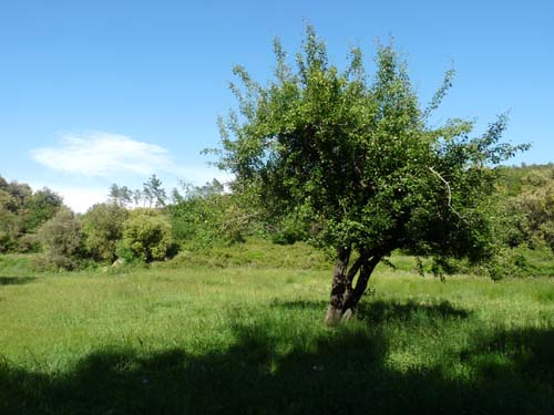 130525_Noli_Manie_Varigotti_Spotorno_Genua_335