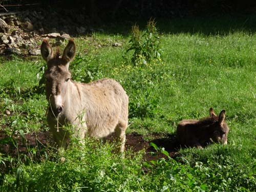 130525_Noli_Manie_Varigotti_Spotorno_Genua_340