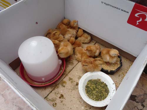 130525_Noli_Manie_Varigotti_Spotorno_Genua_355