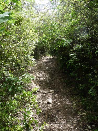 130525_Noli_Manie_Varigotti_Spotorno_Genua_360