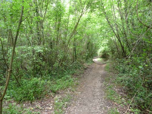 130525_Noli_Manie_Varigotti_Spotorno_Genua_362