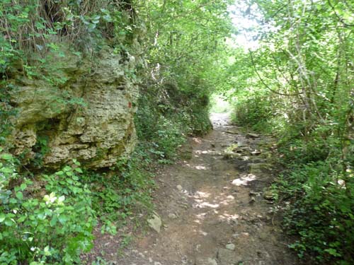 130525_Noli_Manie_Varigotti_Spotorno_Genua_364