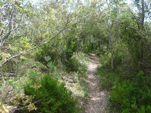 130525_Noli_Manie_Varigotti_Spotorno_Genua_372