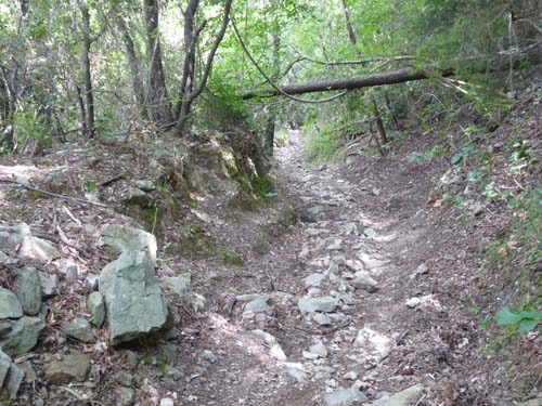 130525_Noli_Manie_Varigotti_Spotorno_Genua_374