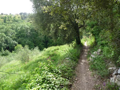 130525_Noli_Manie_Varigotti_Spotorno_Genua_383