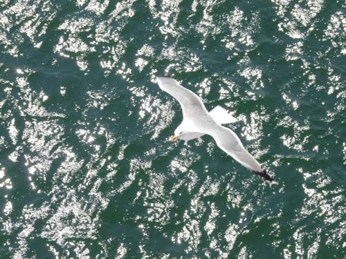 110419-Sardinien-019