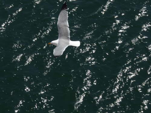 110419-Sardinien-020