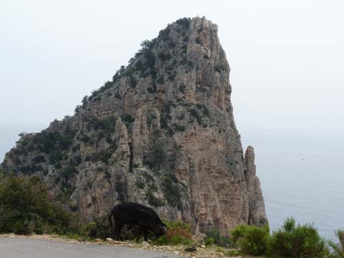 110419-Sardinien-041