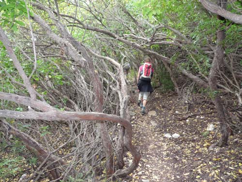 110419-Sardinien-067