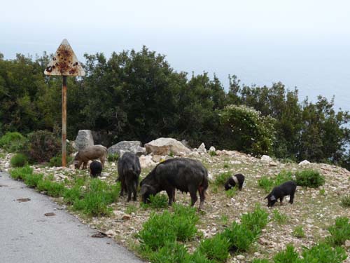 110419-Sardinien-089