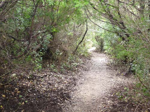 110419-Sardinien-136