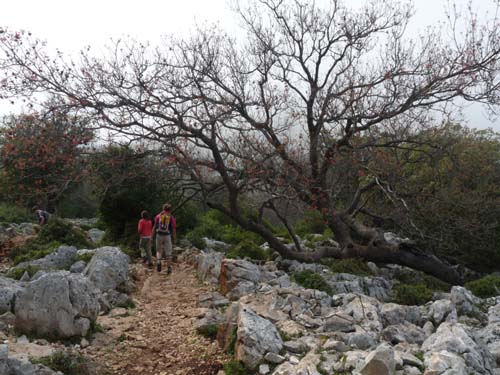 110419-Sardinien-222