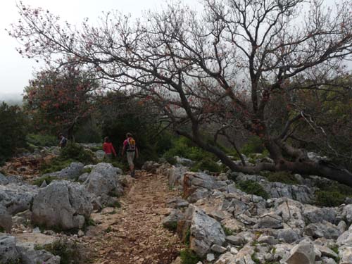 110419-Sardinien-223