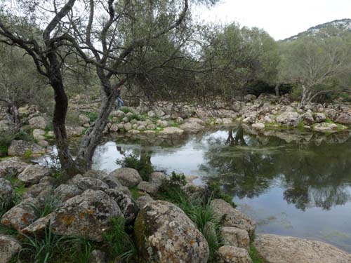 110419-Sardinien-227