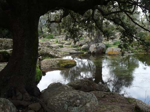 110419-Sardinien-229