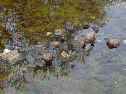 110419-Sardinien-230