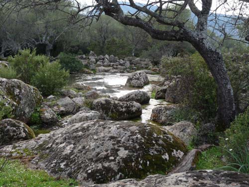 110419-Sardinien-232
