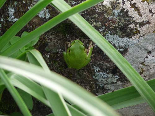 110419-Sardinien-237