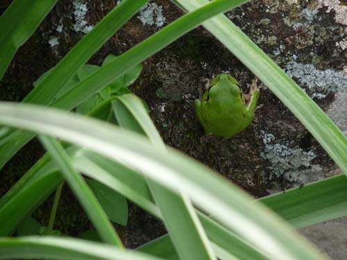 110419-Sardinien-238