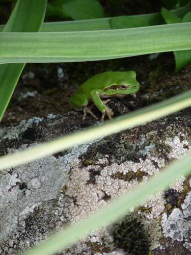 110419-Sardinien-240