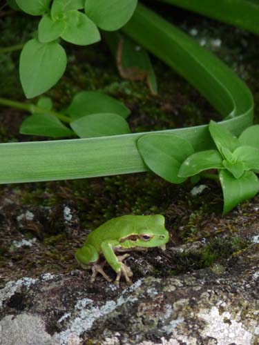 110419-Sardinien-241